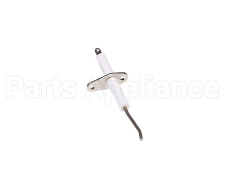 100165931 Lochinvar & A.o. Smith Flame Sensor W/Gasket