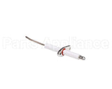 100165931 Lochinvar & A.o. Smith Flame Sensor W/Gasket