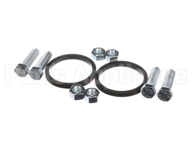 100166331 Lochinvar K,Bolt & Gasket,Pum30004