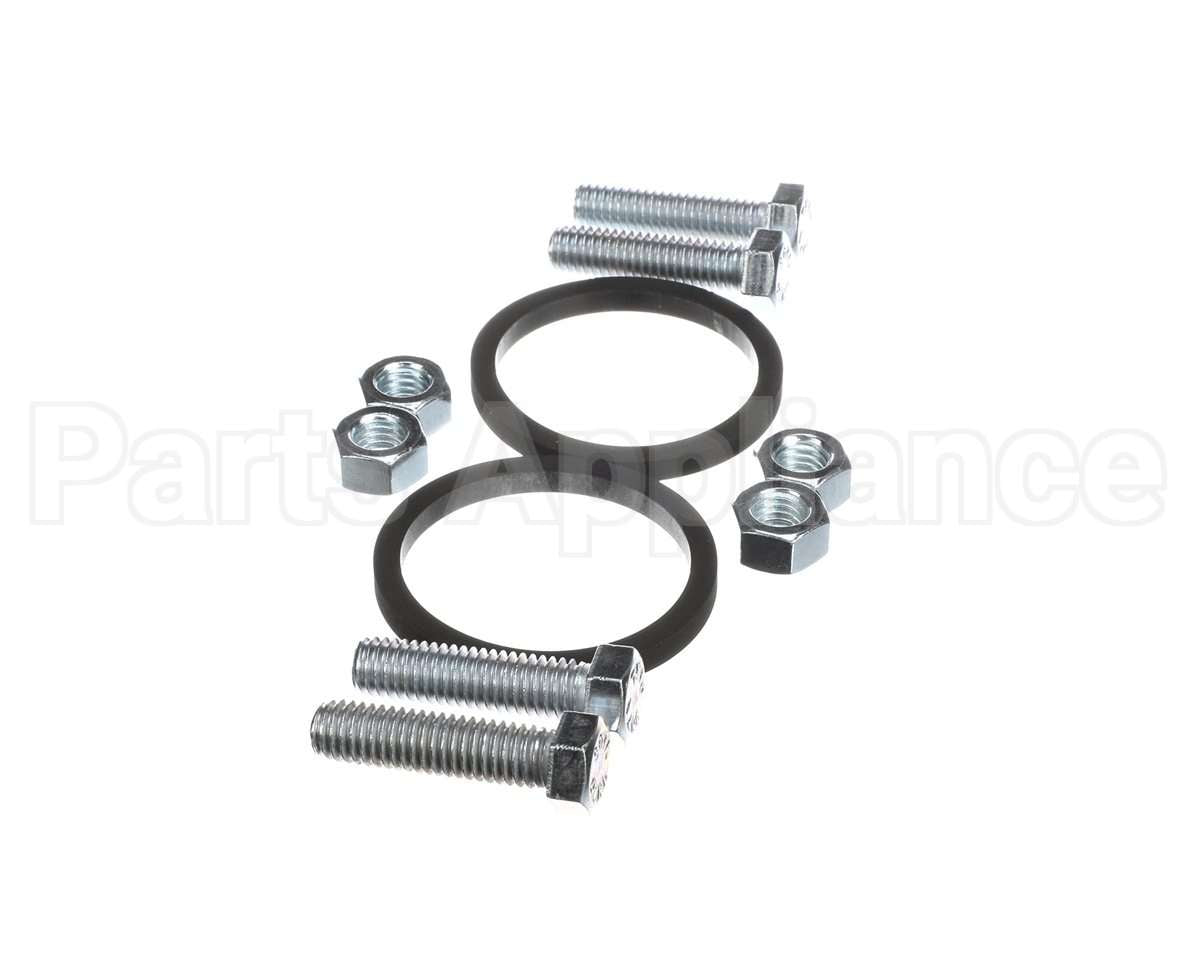 100166331 Lochinvar K,Bolt & Gasket,Pum30004