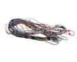 100173240 Lochinvar Harnesswire24Vpb/Pf