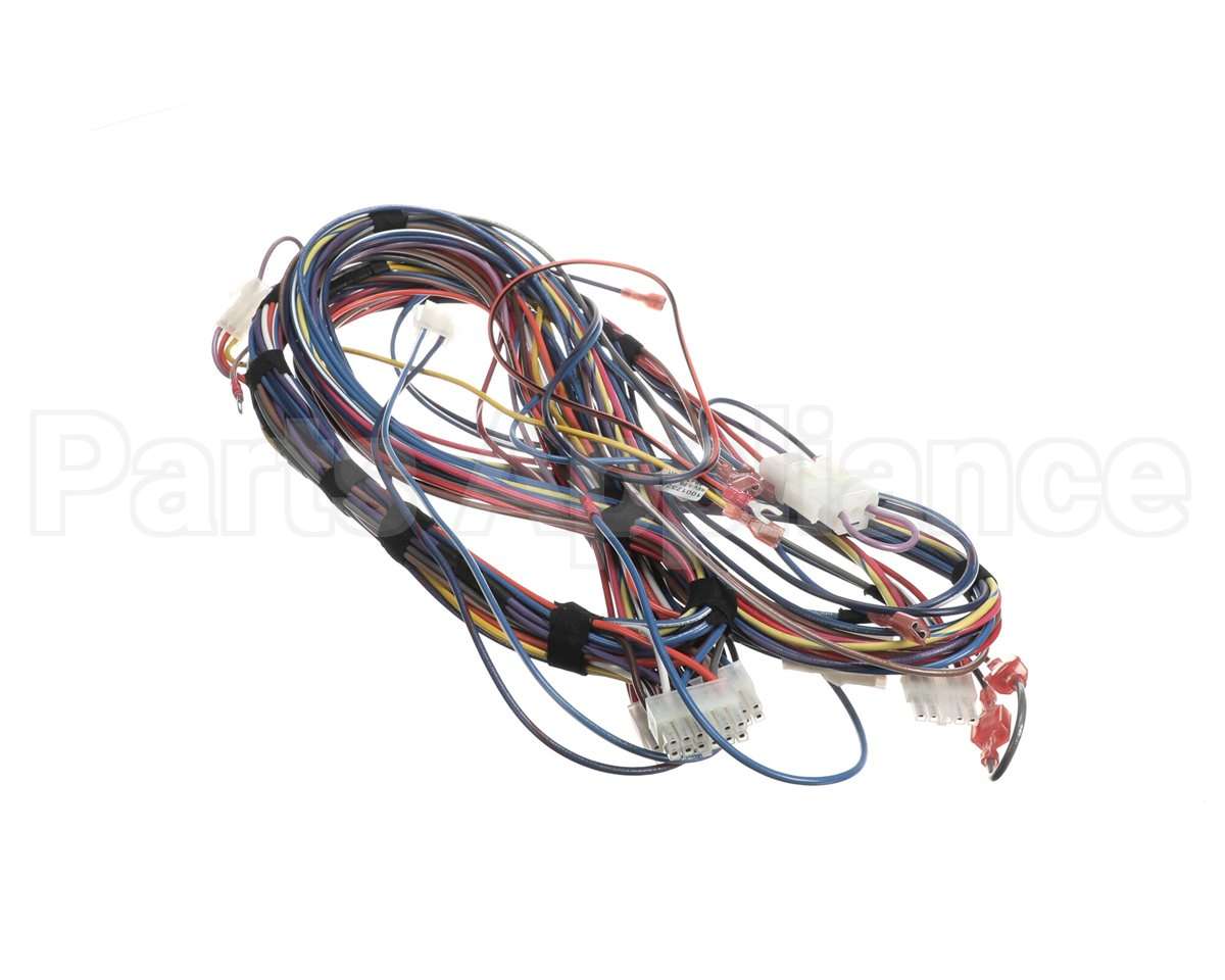 100173240 Lochinvar Harnesswire24Vpb/Pf