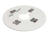 100187882 Lochinvar & A.o. Smith Flame Sensor