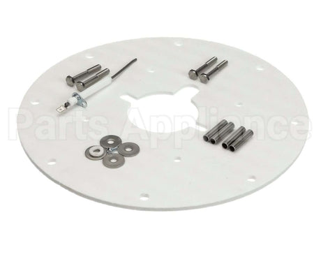 100187882 Lochinvar & A.o. Smith Flame Sensor
