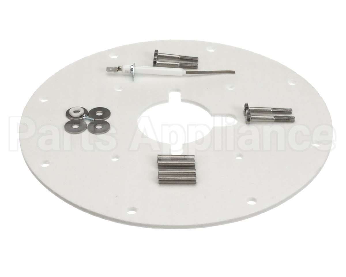 100187882 Lochinvar & A.o. Smith Flame Sensor