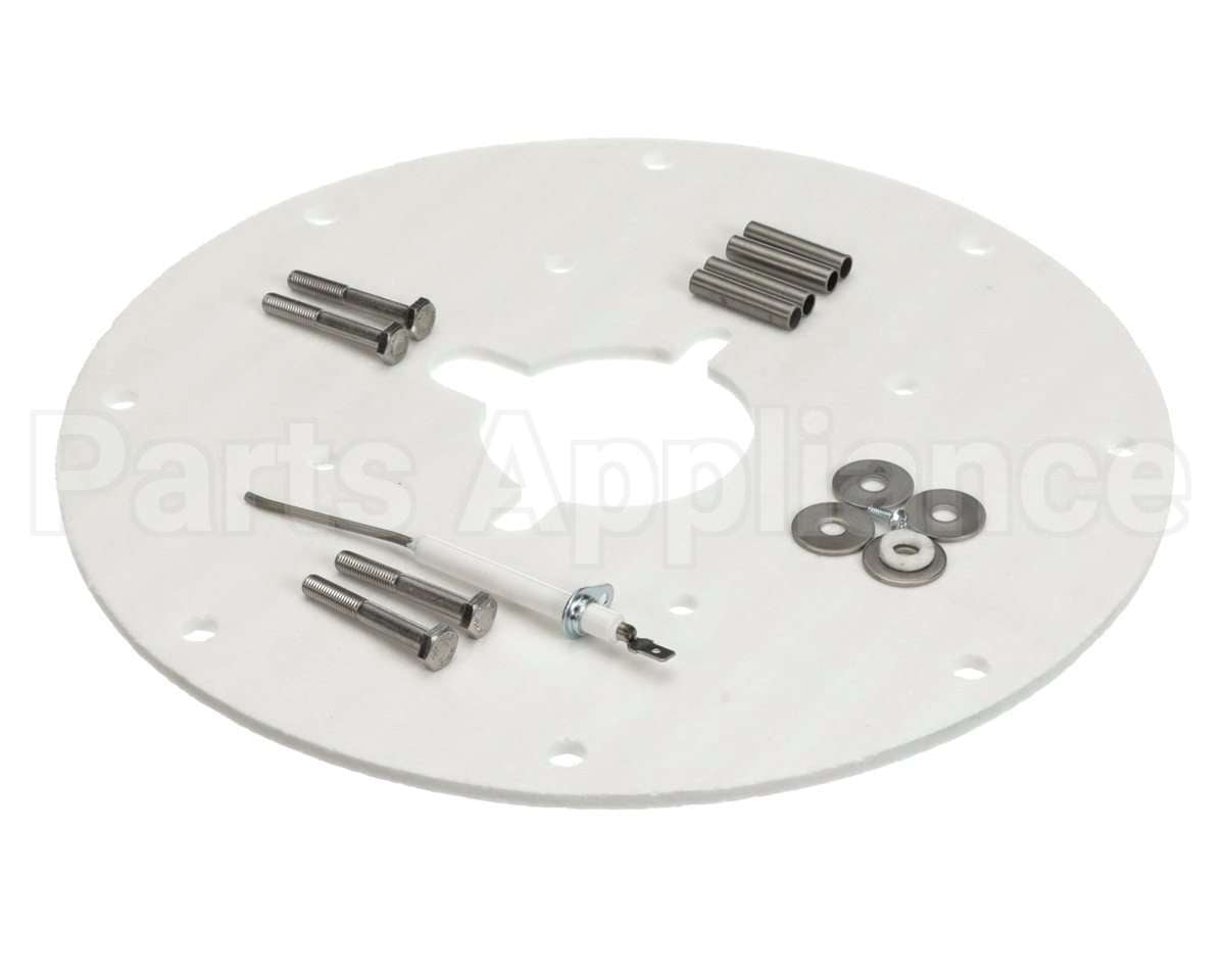 100187882 Lochinvar & A.o. Smith Flame Sensor