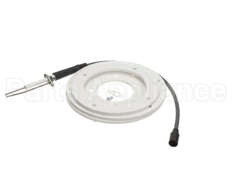 100191120 Ao Smith Water Heater Ignitor