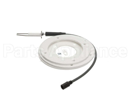 100191120 Ao Smith Water Heater Ignitor