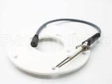 100191120 Lochinvar & A.o. Smith Spark Ignitor Assembly