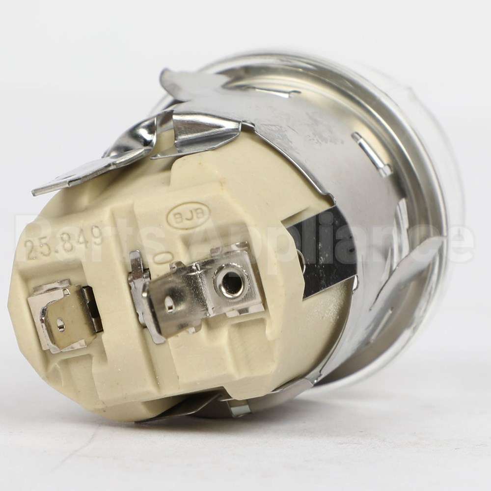 10019151 Bosch Lamp