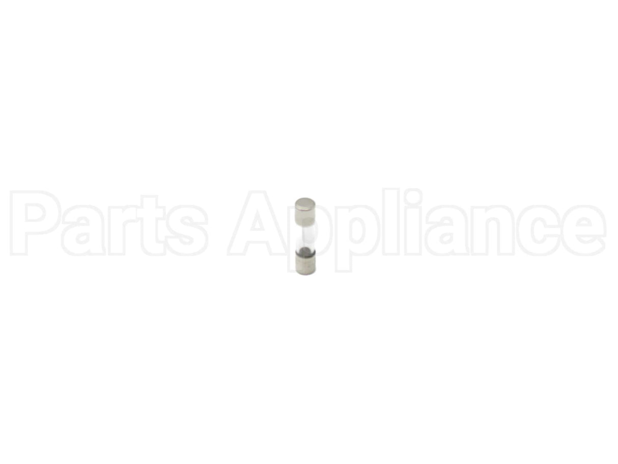 100208231 Lochinvar & A.o. Smith 3.15 Amp Fuse