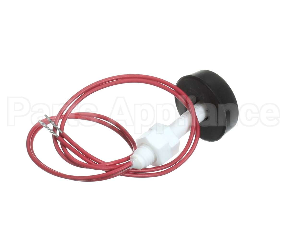100208243 Lochinvar & A.o. Smith Blocked Drain Switch