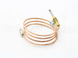 100208371 Lochinvar & A.o. Smith Thermocouple