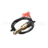 100208548 Lochinvar K,Sensor,Immersion,Outlet