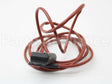 100208624 Lochinvar & A.o. Smith Spark Electrode