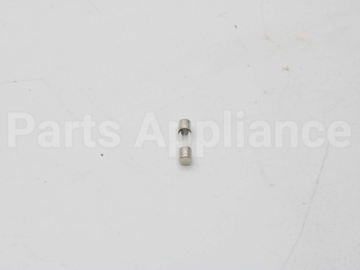 100208807 Lochinvar & A.o. Smith 1.25 Amp Fuse