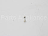 100208807 Lochinvar & A.o. Smith 1.25 Amp Fuse