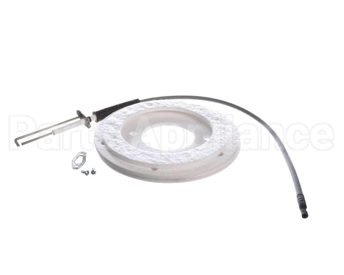 100271888 Ao Smith Water Heater K,Spark Igniter Assy,(Straig