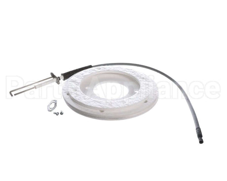 100271888 Ao Smith Water Heater K,Spark Igniter Assy,(Straig