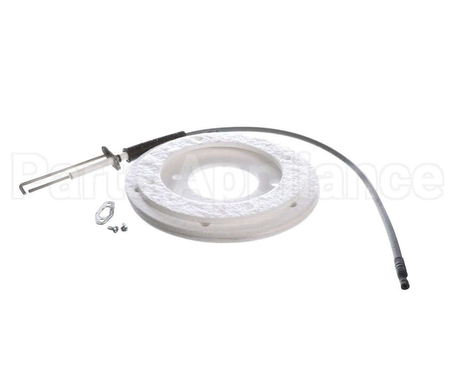 100271888 Ao Smith Water Heater K,Spark Igniter Assy,(Straig