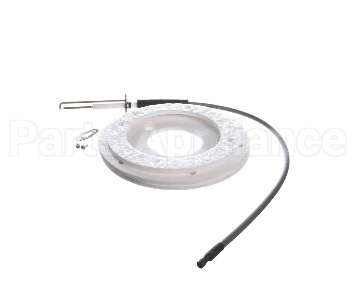 100271888 Ao Smith Water Heater K,Spark Igniter Assy,(Straig