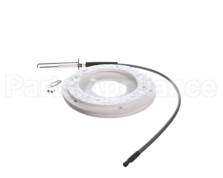 100271888 Ao Smith Water Heater K,Spark Igniter Assy,(Straig