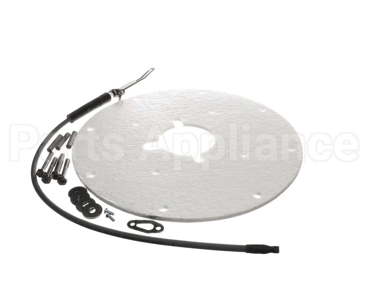 100271889 Ao Smith Water Heater K,Spark Igniter Assy(Angled)