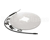 100271889 Ao Smith Water Heater K,Spark Igniter Assy(Angled)