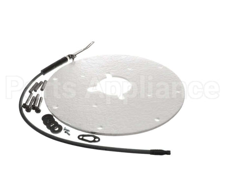 100271889 Ao Smith Water Heater K,Spark Igniter Assy(Angled)
