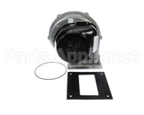 100274101 Lochinvar & A.o. Smith Fan Assembly