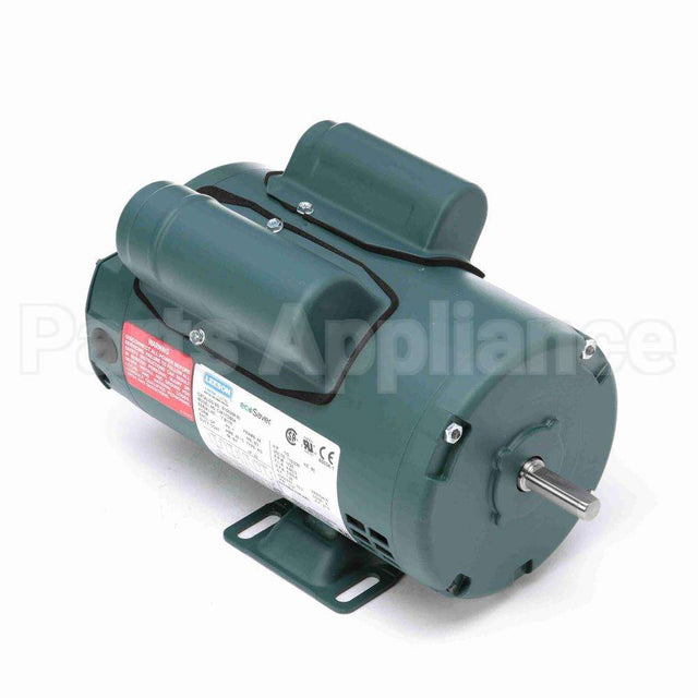 100338 Leeson Motor