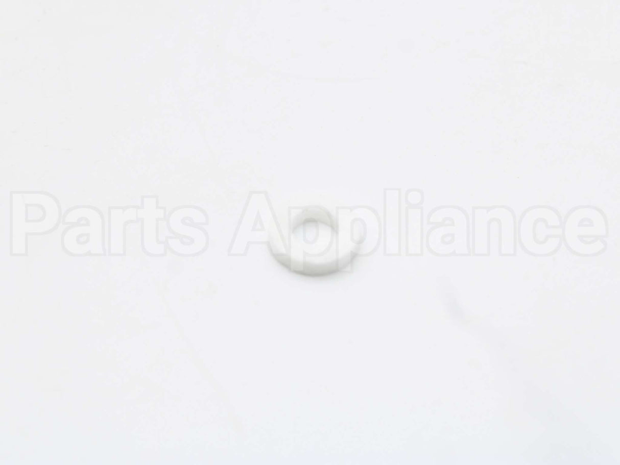 100338897 Lochinvar & A.o. Smith Flame Rod Gasket