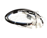 1004F-2054 Rinnai Motor Lead Assy B (See Notes) 263