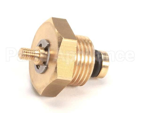 10060051 Rancilio Antivacuum Valve For Temp. Sen