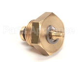 10060051 Rancilio Antivacuum Valve For Temp. Sen