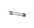 100602 Turbochef Fuse, 15 Amp