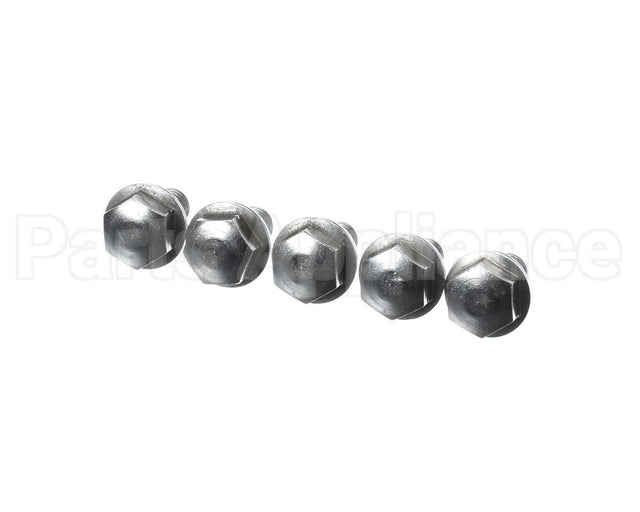 1008.0768P Rational Ornamental Screw M8X16