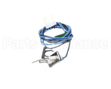 1009524 International Comfort Pro Ign Flame Rod Assy