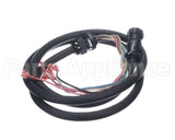 100969 Blodgett Cord, Vlf/Vlh To Top, Qc