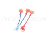 101313 Blodgett Wire Kit