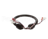 1015-V2-2 Globe Harness A3875, A3750