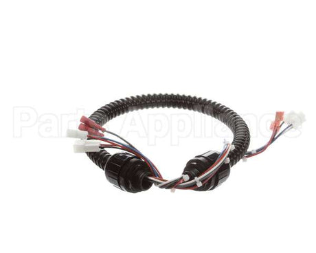 1015-V2-2 Globe Harness A3875, A3750