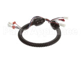 1015-V2-2 Globe Harness A3875, A3750