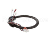 1015-V2-2 Globe Harness A3875, A3750