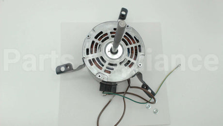 10151202 Titus Hvac 1/3Hp 277V Ccw Right Hand Mtr