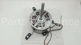 10151202 Titus Hvac 1/3Hp 277V Ccw Right Hand Mtr