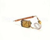 101542 Groen Thermostat Kit
