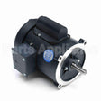 101766 Leeson Motor