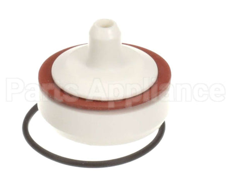 10184 Gaylord Water Check Valve 34"