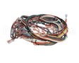 102213 Groen Harness Wire